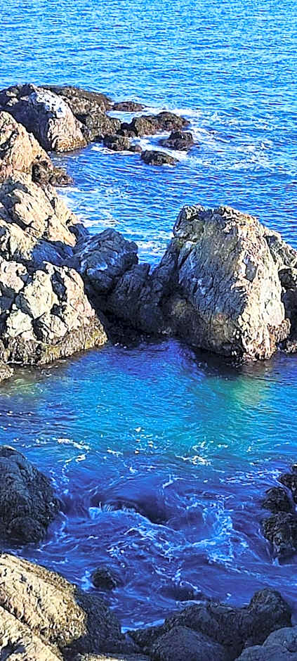 The View suites and breakfast in Triton, Newfoundland