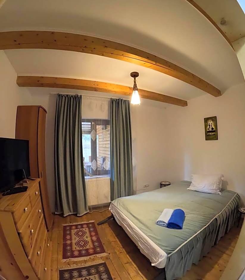 Cabana "Trei Brazi " Retezat