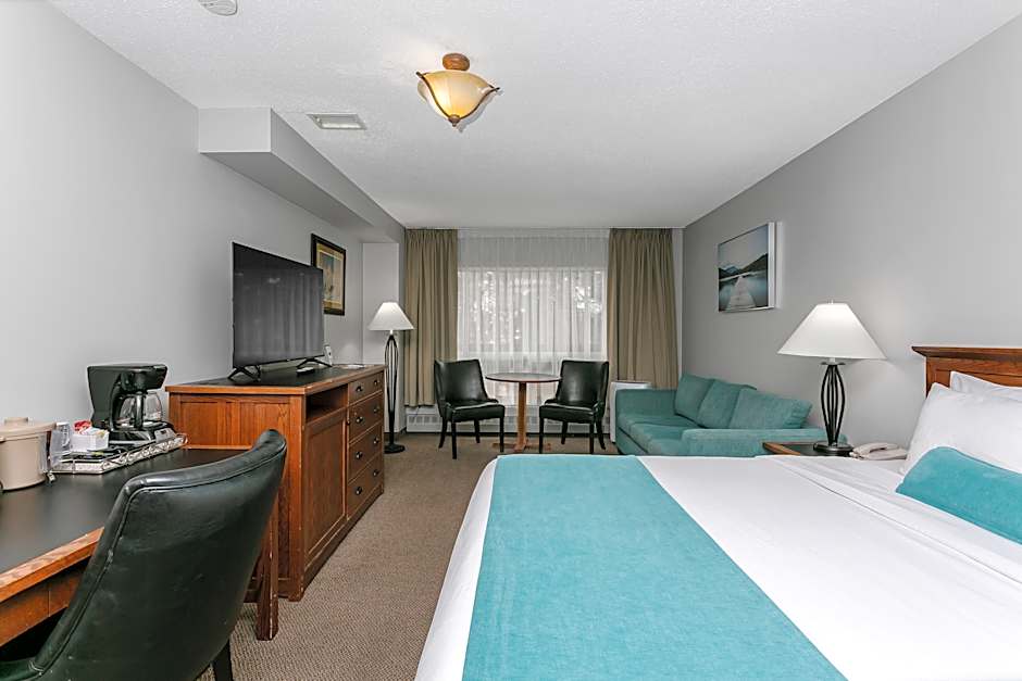 Photo 1 of 9 of Standard 1 King Bed with Sofabed