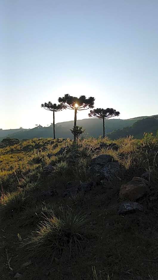 Pousada Recanto da Cascata - Cabana Liquidambar