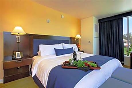 Superior King Suite