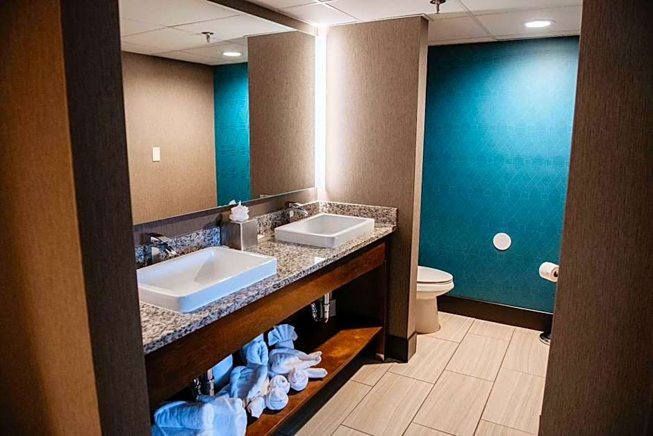Radisson Hotel St Paul Downtown