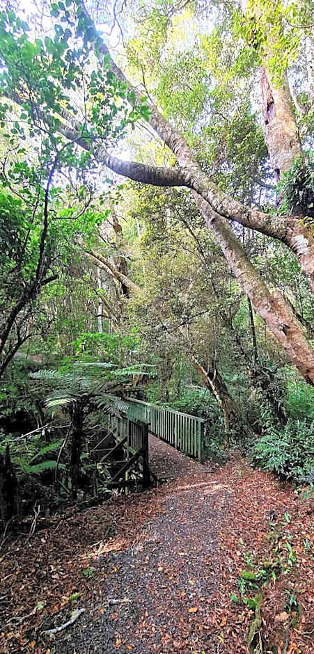 Kaka Point Spa Accommodation - Catlins