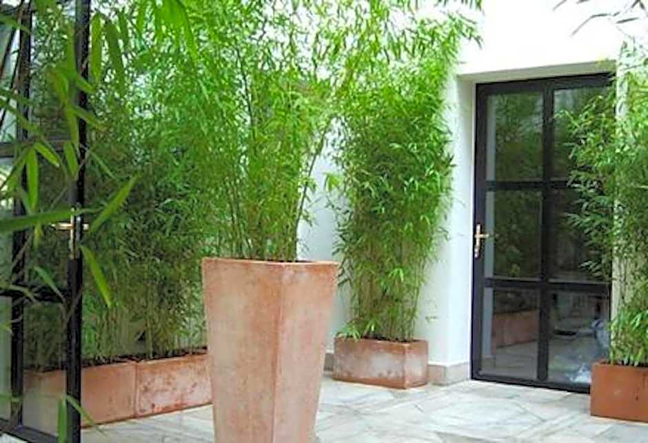 Hôtel Tingis