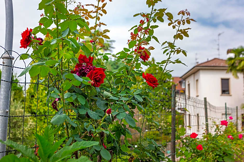 Pasta Residence Italia Malpensa