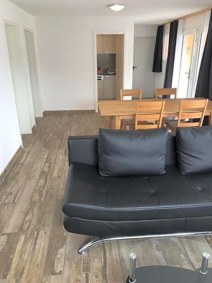 Swiss Chalet Holidays Ringgenberg