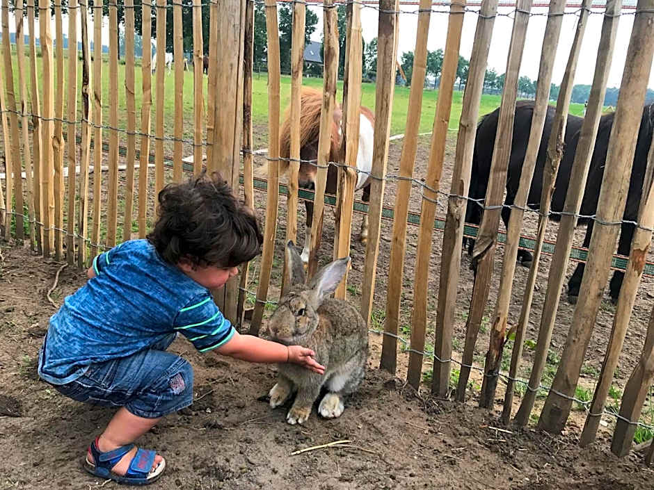 Bed & Breakfast de Zandhoef
