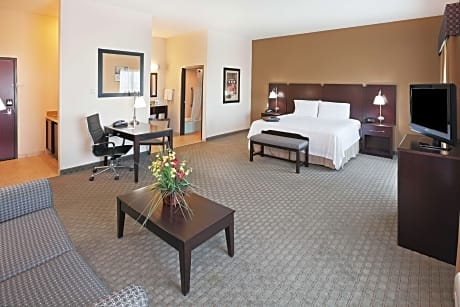 1 King Bed Studio Suite Nonsmoking