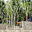 The Kasturi