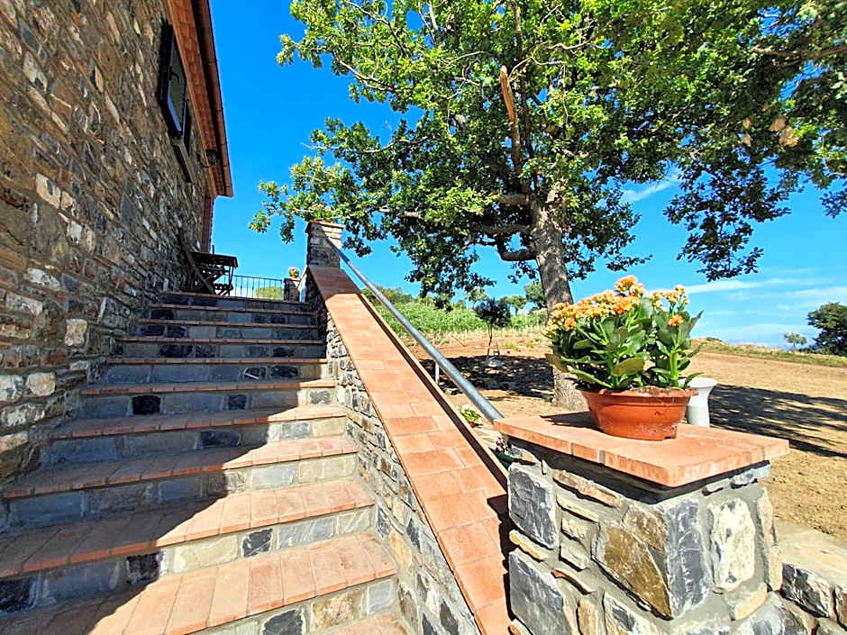 Agriturismo Le Terre di Veneré