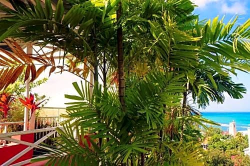 Residence La Goelette