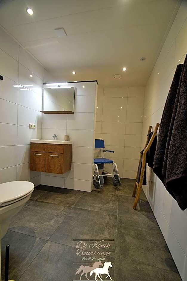 B&B De Konik Bourtange