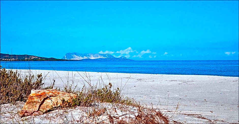 Appartamenti Le Magnolie