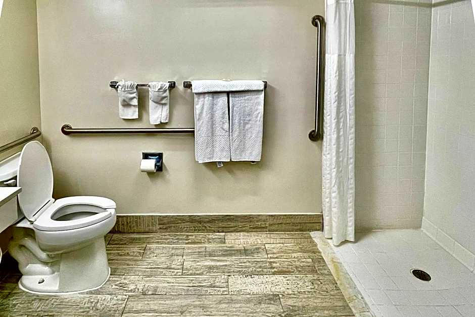 Quality Inn & Suites Clemmons I-40