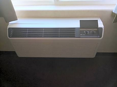 King Studio with Sofa Bed