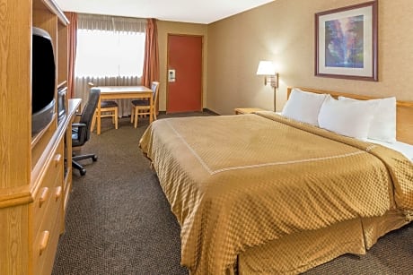 1 Queen Bed Smoking Room With Free