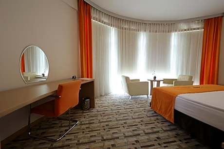 Large Double Room