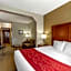 Comfort Inn & Suites Rapid City