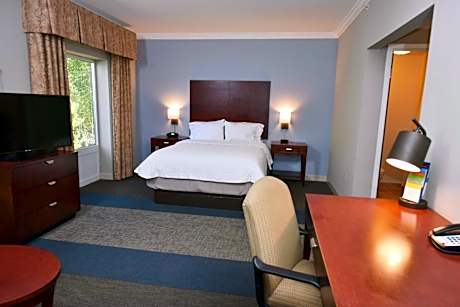 1 Queen Bed Studio Suite Nonsmoking