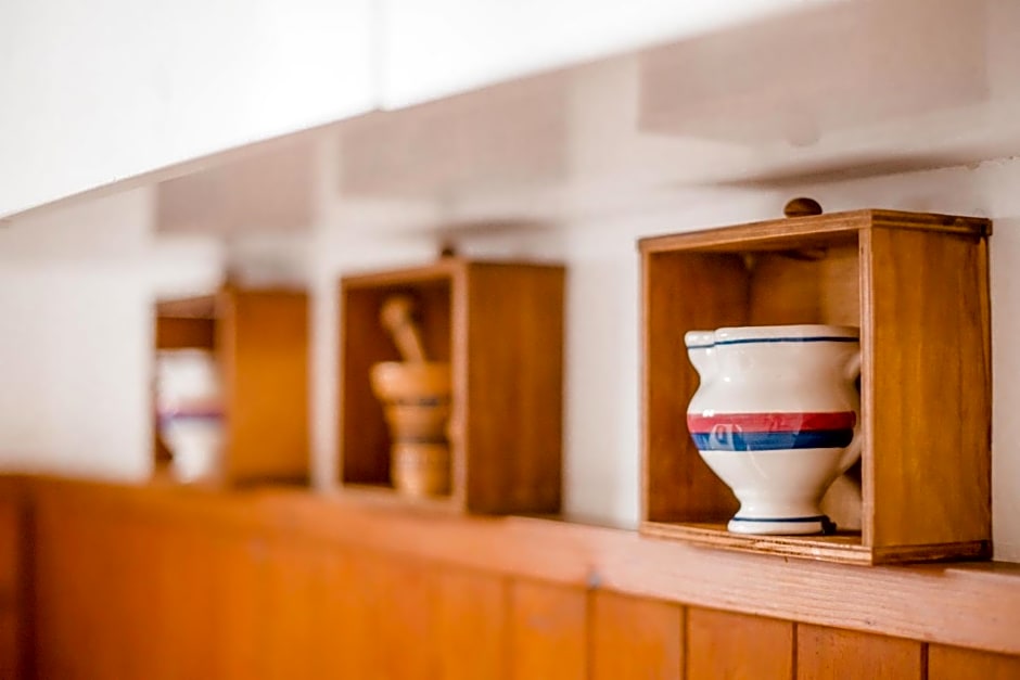 Lotus Oasis I Nature Experience