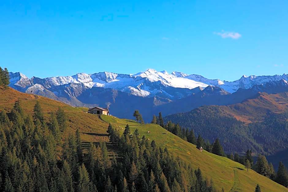 Landhotel Almrösl im Großarltal