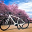 Kona Stay Bicycle Resort