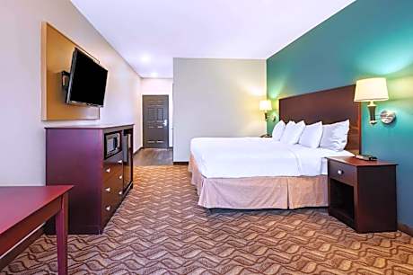 1 King Bed Non-Smoking