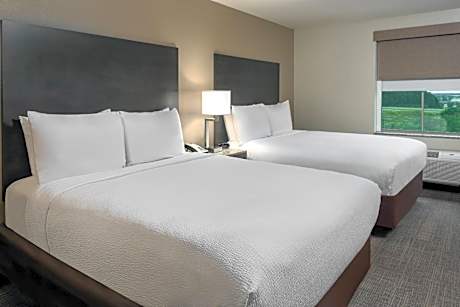 Suite-2 Queen Beds  Non-Smoking Sofabed Microwave And Refrigerator Flat Screen Television Coffee Mak