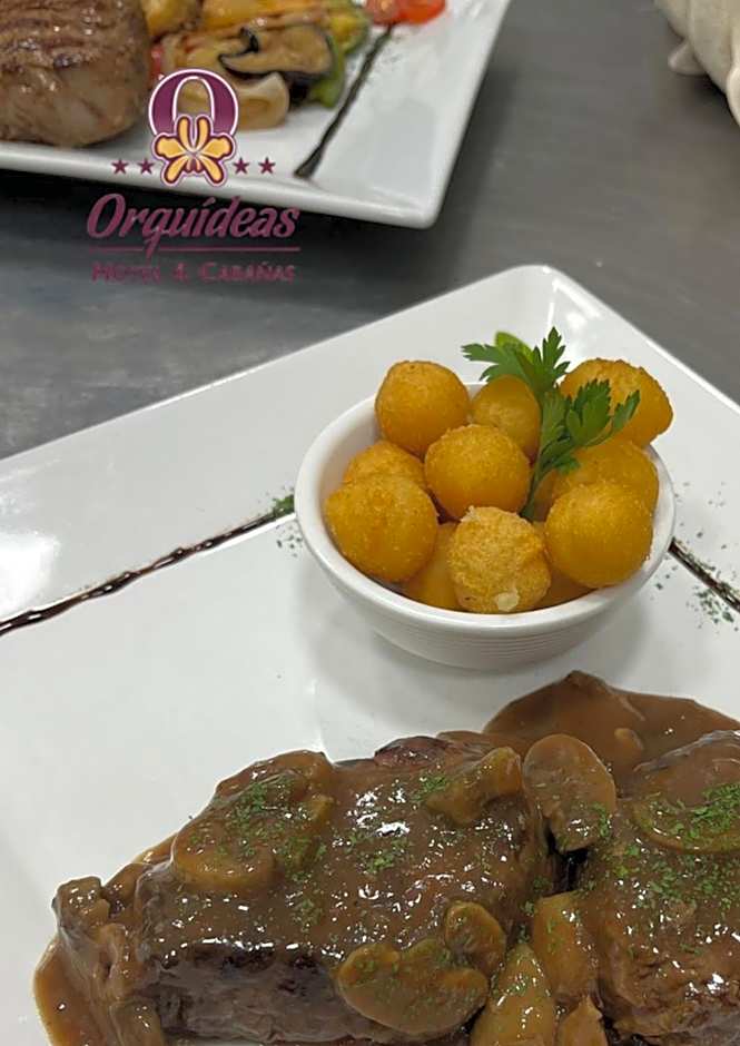 Orquideas Palace Hotel & Cabañas