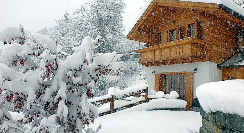B&B Chalet Il Picchio