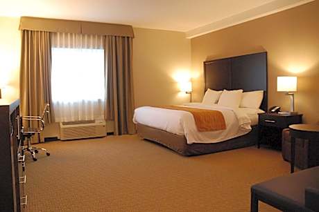 1 King Bed Accessible