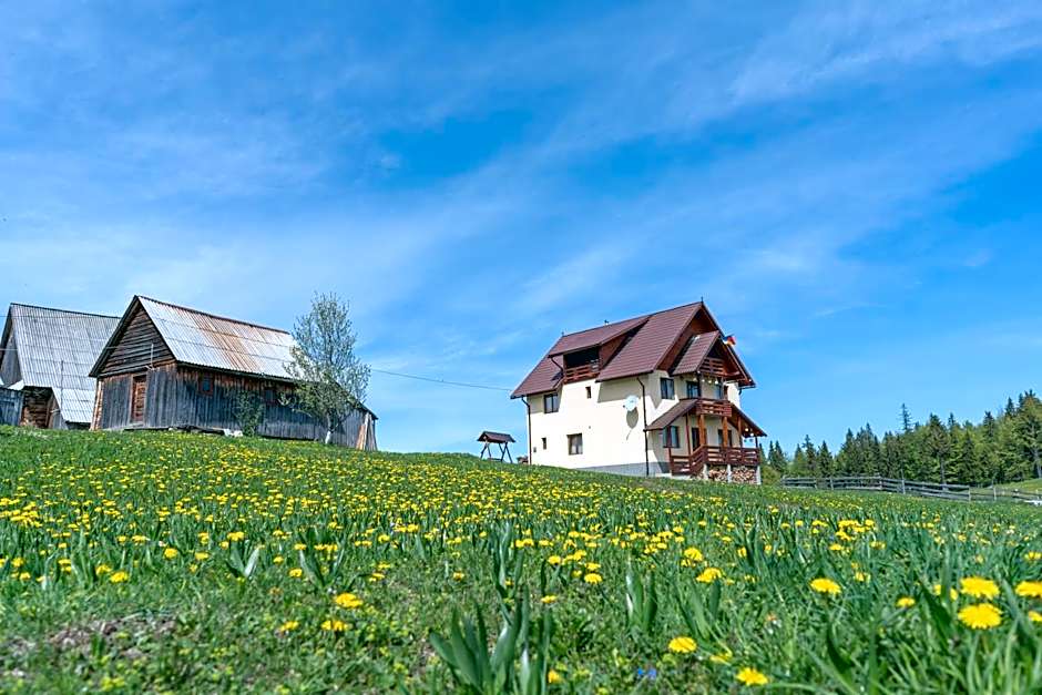 Cabana Poiana Dealul Frumos