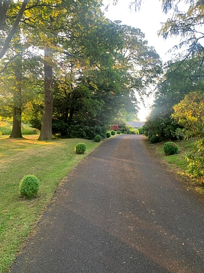 Dalton House Bed and Breakfast