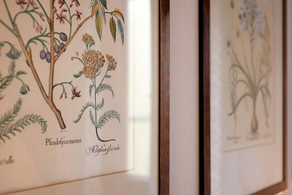 Guest House Morandi