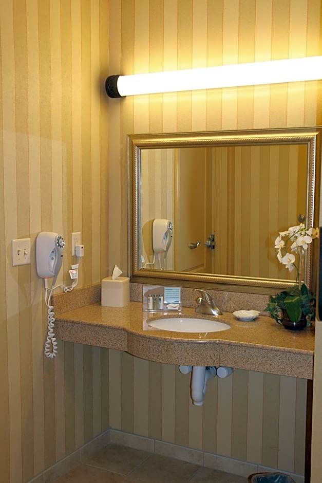 Hampton Inn By Hilton & Suites Chicago