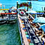 Harbourside 7718- Premier