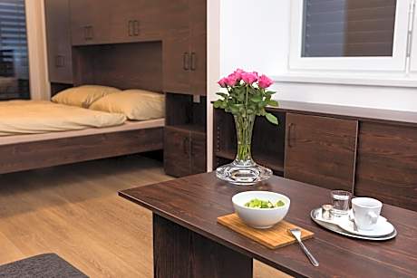 Premium Studio with Terrace