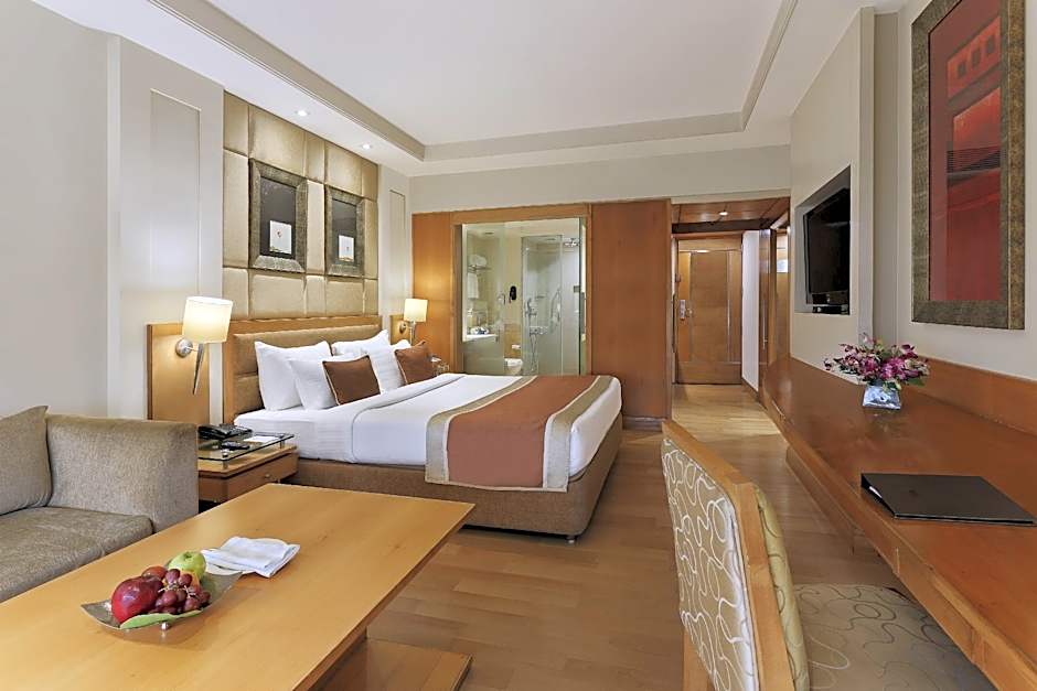 Hotel Park Plaza Ludhiana