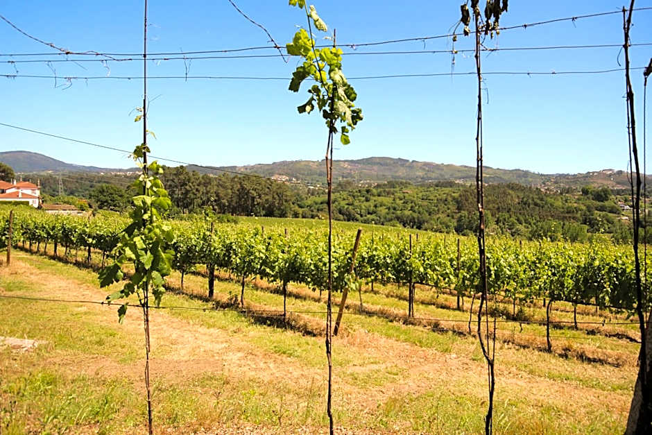 B&B Villa Branca Barreiros AL98139