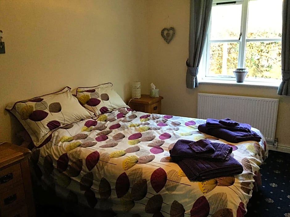 Trem Hyfryd B&B