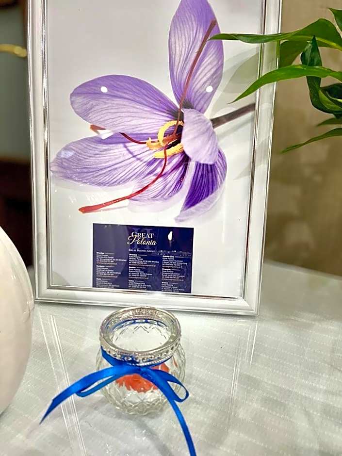 Great Polonia Kraków Kazimierz