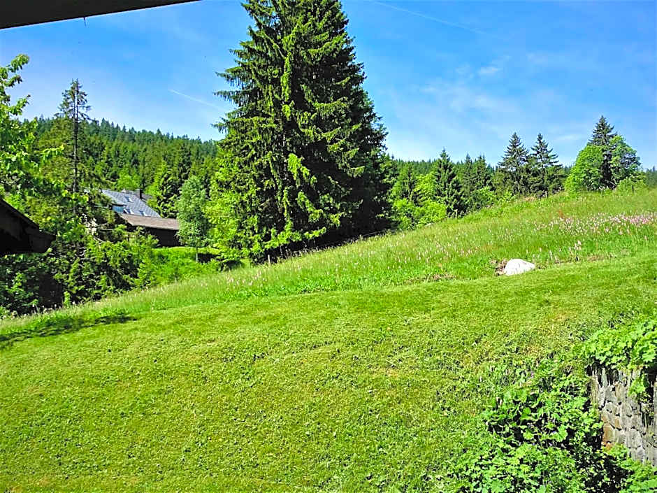 Schwarzwald-Hotel Kraeutle