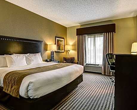 1 King Bed Nonsmoking Accessible