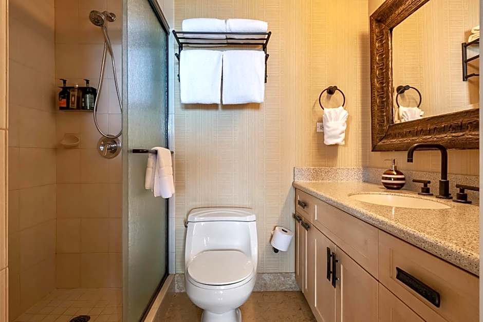 Oceanfront Mana Kai 2 bedroom condo