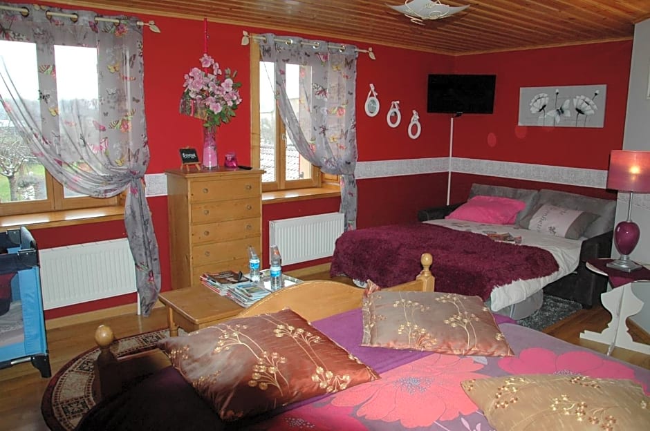 Chambres D'Hôtes Vosges Chez Sylvia Et Luiggi