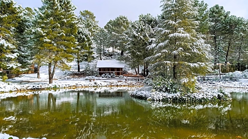 La cabaña del lago en ZAFIRO LAGUNAZO Parque Natural del Río Mundo