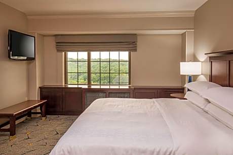 Executive King Suite with Sofa Bed and Roll-In Shower - Club Level/Mobility/Hearing Accessible