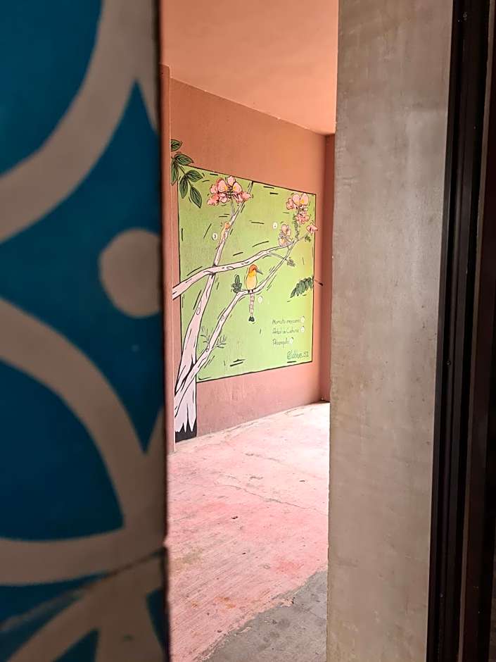Hotel Momotus Tuxtla - Desayuno incluido