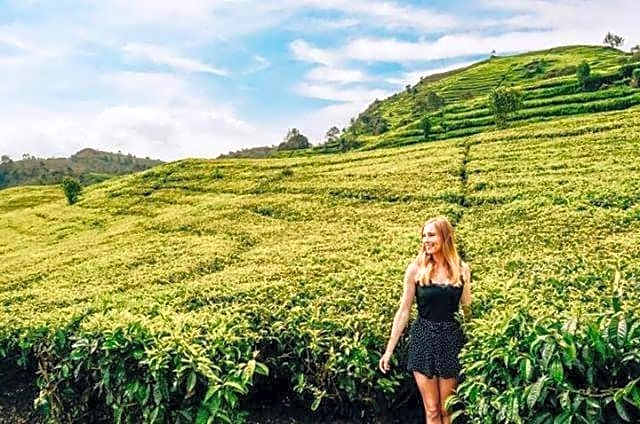 Buton Backpacker Lodge