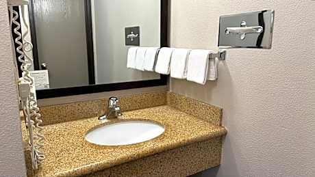 One-Bedroom King Suite - Non-Smoking